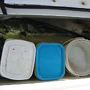 Picture 028